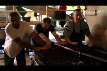 Embedded thumbnail for Vina Louis Latour - tradicija in kvaliteta 1/2