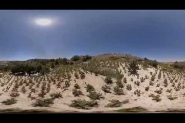 Embedded thumbnail for Vina Torres - 360º Experience